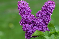 开云体育官方网站-塞内加尔锋线遇叹息之墙！门神拉亚一战封神，诠释完全无解