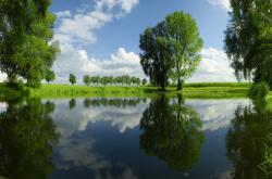 开云APP-赛道与球场的雷霆回响，当F1轮胎撕裂街道，NBA传奇在汗水与轰鸣中诞生