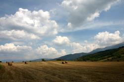 开云体育登录-库尔图瓦神级封堵锁定胜局，比利时防线窒息勒沃库森