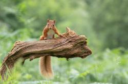 开云体育中国-维尼修斯一剑封喉！新西兰与委内瑞拉的殊死战中他如何成为关键先生