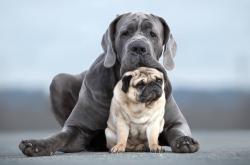 开云官网-意甲焦点战之夜，赖斯关键战不手软