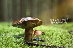 开云官网-当巨压倾覆，是匍匐成尘，还是淬火为锋？罗德里与克罗地亚的压力辩证法