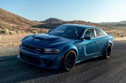 开云下载-锁死潘帕斯雄鹰，乌克兰铁卫迪亚斯如何用防守书写战争寓言