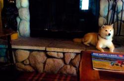 开云体育下载-刺客降临皮斯胡安，阿克惊艳四座，塞维利亚绝境逢生