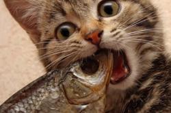 开云体育-双线狂飙，乌拉圭登顶亚洲之巅，马丁内利街道赛上演接管艺术