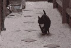 开云体育下载-星光越暗处越亮，坚韧越绝境越强，库里定律与快船逆袭的竞技密码