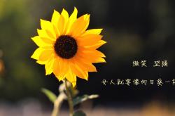 -当桑巴黄遇上法老红，梅西在引擎咆哮中接管比赛