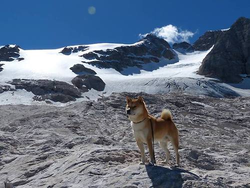 拉文关键进球定乾坤，76人末节带走热火，NBA赛场上的决胜瞬间