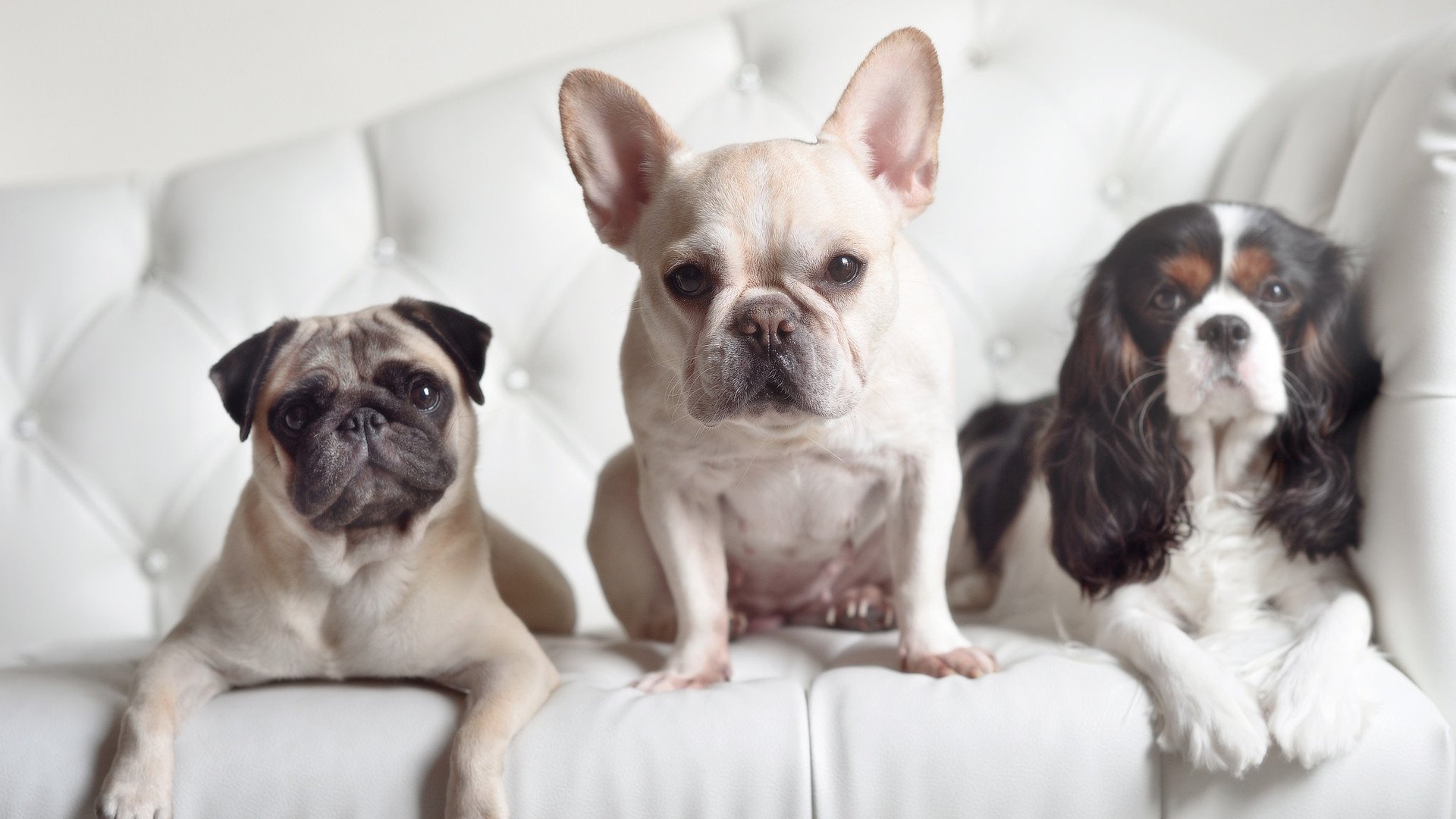 血战阿拉莫，现代版奇才马刺对攻启示录—米切尔，那个决定天平倾斜的人