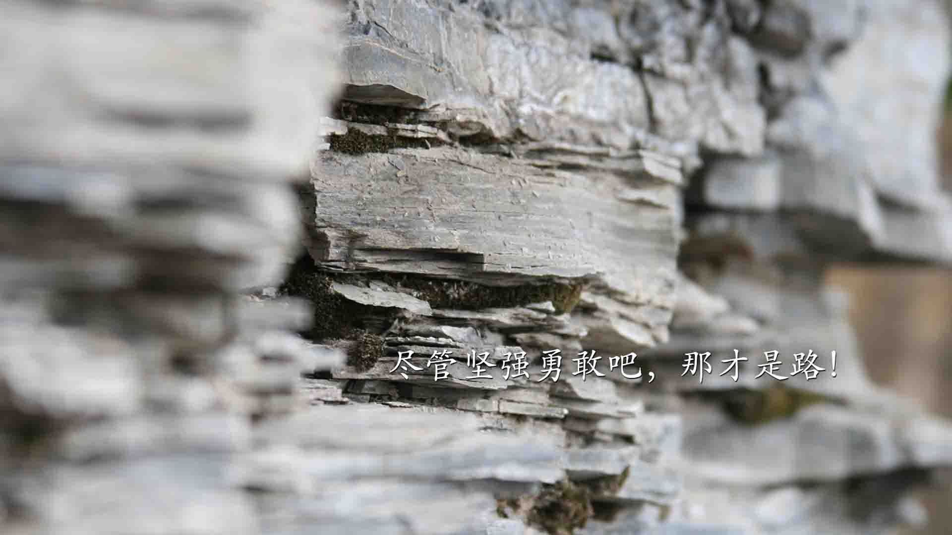 摩纳哥启示录，当提前终结的悬念，预言了美加墨世界杯的终极接管者