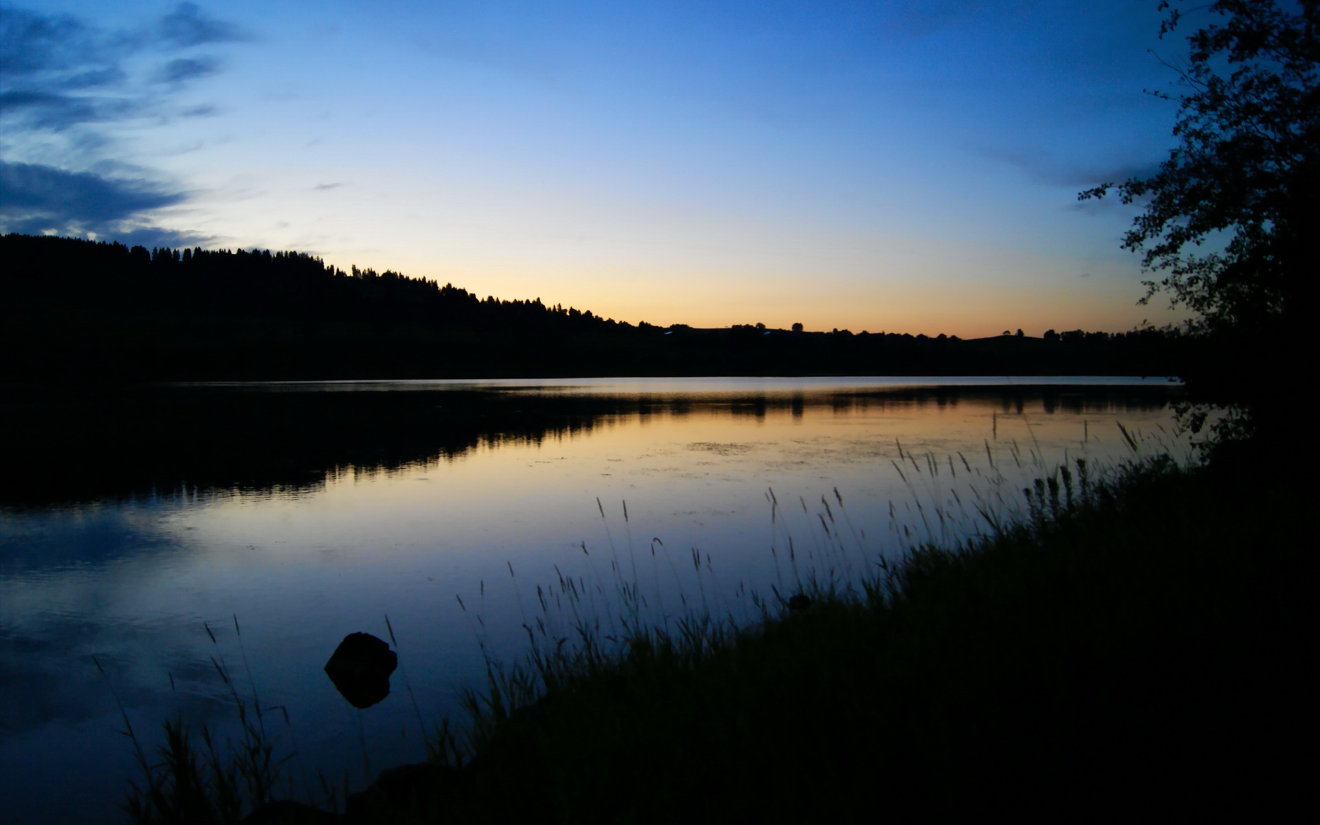威尔士战术压制阿尔及利亚，厄德高硬仗之王的足球启示录