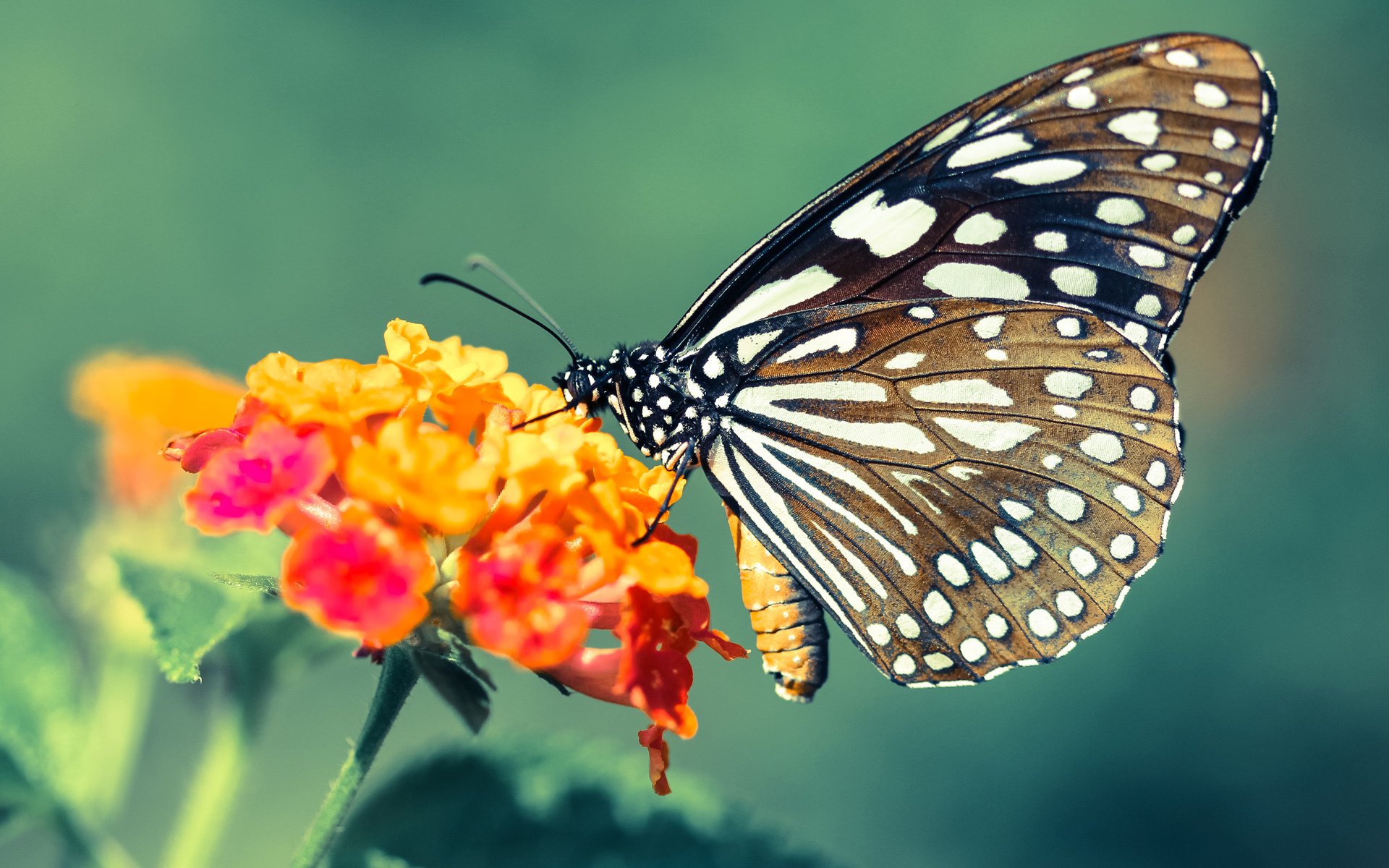 年度焦点之战之夜，本泽马关键进球定乾坤