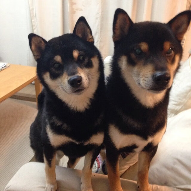 李刚仁火力全开，塞维利亚二队奇迹般踏平五星巴西