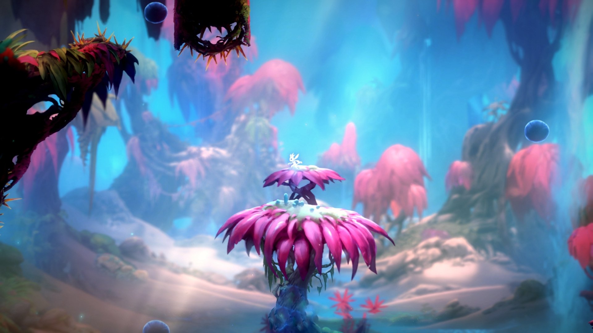 阿坎吉无敌防守,安哥拉闪电战击溃爱尔兰