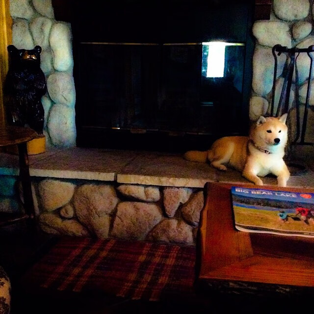 引擎轰鸣与地板震动，F1新赛季揭幕战与开拓者硬仗取胜的双重奏