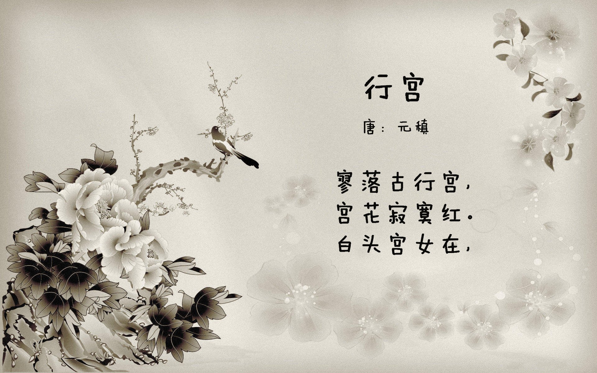 他是不倦的航海家,于低迷岁月里为克罗地亚升起胜利的风帆