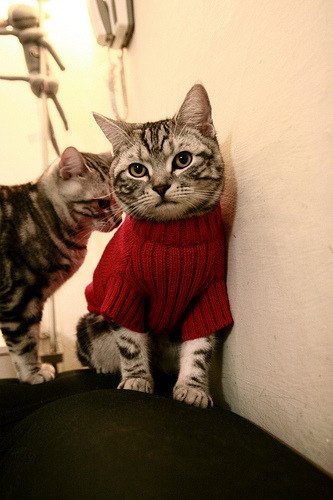 乔治天神下凡！连续砍分击溃骑士，上海队拿下国际对抗赛胜利